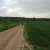 Hiking Through Israel’s Spring